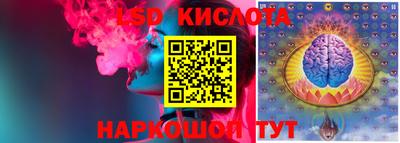 ПСИЛОЦИБИНОВЫЕ ГРИБЫ Кузнецк